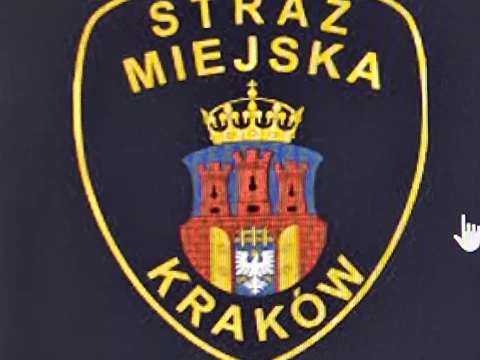 Spotkanie ze Strażą Miejską w Przedszkolu!