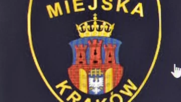 Spotkanie ze Strażą Miejską w Przedszkolu!