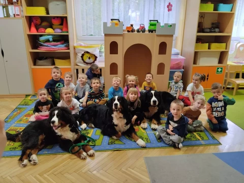 Dogoterapia w przedszkolu