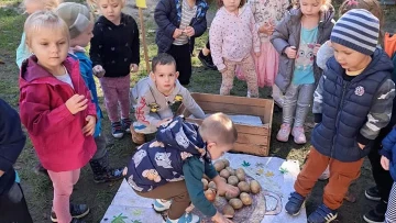 Dzień Ziemniaka w Lajkoniku!