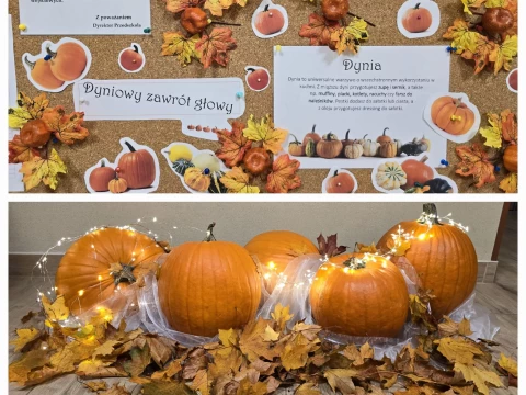 Dzień Dyni w Lajkoniku!