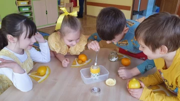 Dzień Cytryny w Lajkoniku!