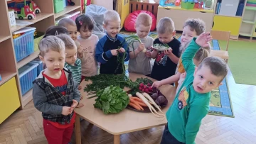 Dzień Nowalijek w Lajkoniku!