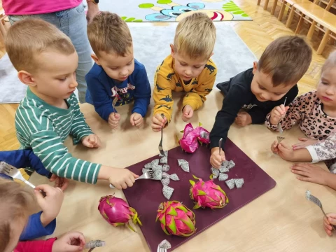 Nowe smaki w Lajkoniku - poznajemy pitaję!