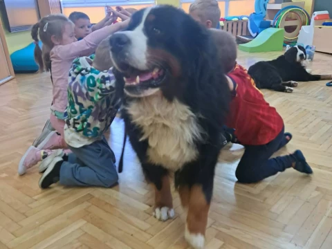 Zajęcia z dogoterapii!