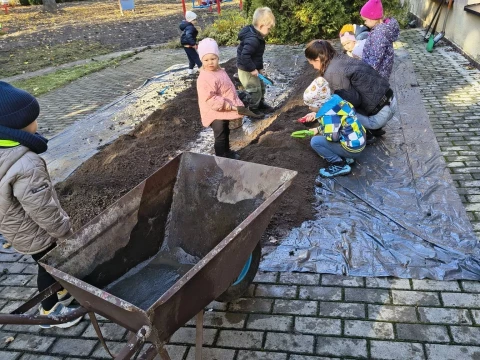 Dzień Ziemniaka w Lajkoniku!