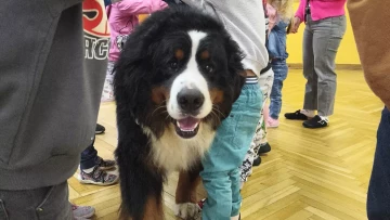 Dogoterapia - warsztaty dla dzieci!