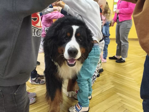 Dogoterapia - warsztaty dla dzieci!