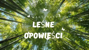 Warsztaty Leśne Opowieści!