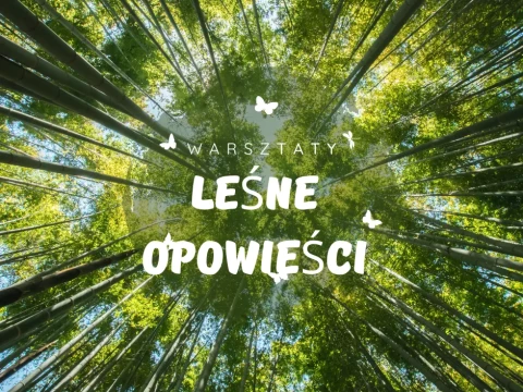 Warsztaty Leśne Opowieści!