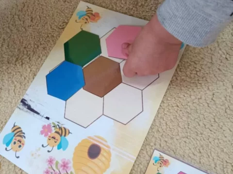 Dzień pszczoły w Lajkoniku!