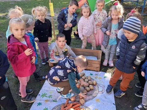 Dzień Ziemniaka w Lajkoniku!