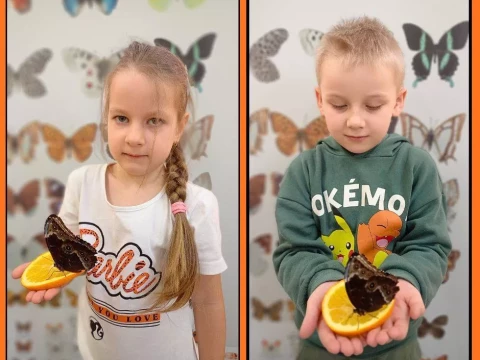 Warsztaty edukacyjne motyle w Lajkoniku!