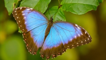 WARSZTATY EDKUKACYJNE - 