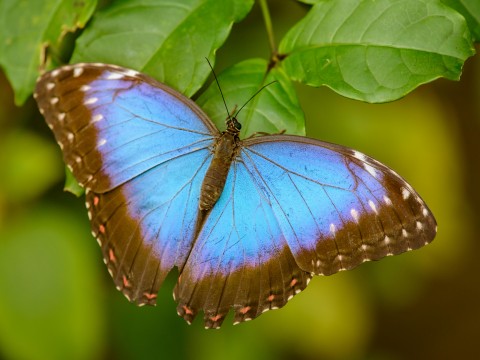 WARSZTATY EDKUKACYJNE - 