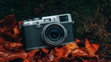 fot. Unsplash - Benjamin Raffetseder Jesienna sesja fotograficzna w Lajkoniku!