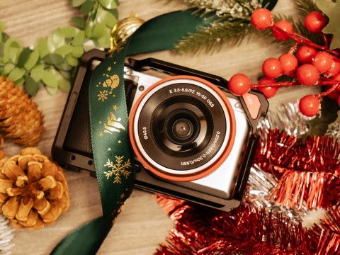 Świąteczna sesja fotograficzna!