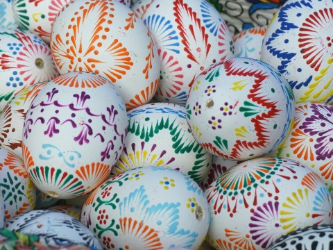 DZIEŃ JAJKA W LAJKONIKU!