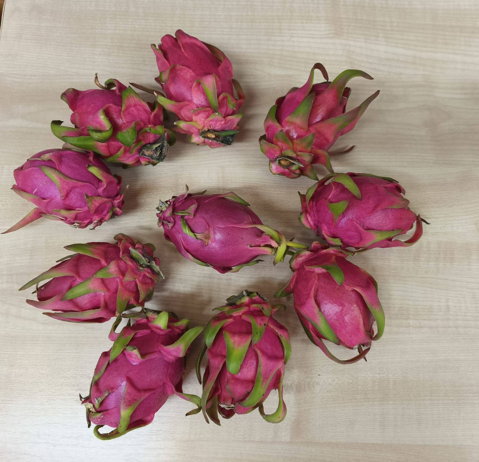 Przedszkole Samorządowe 