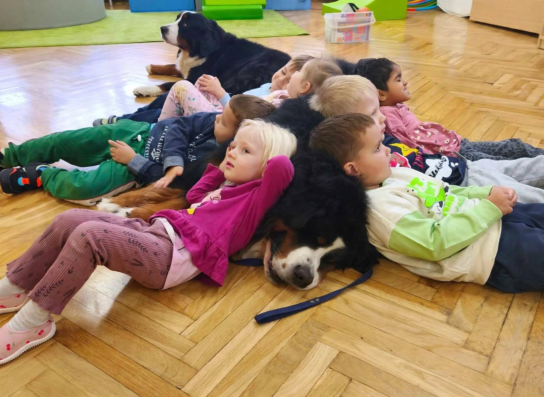 Przedszkole Samorządowe 