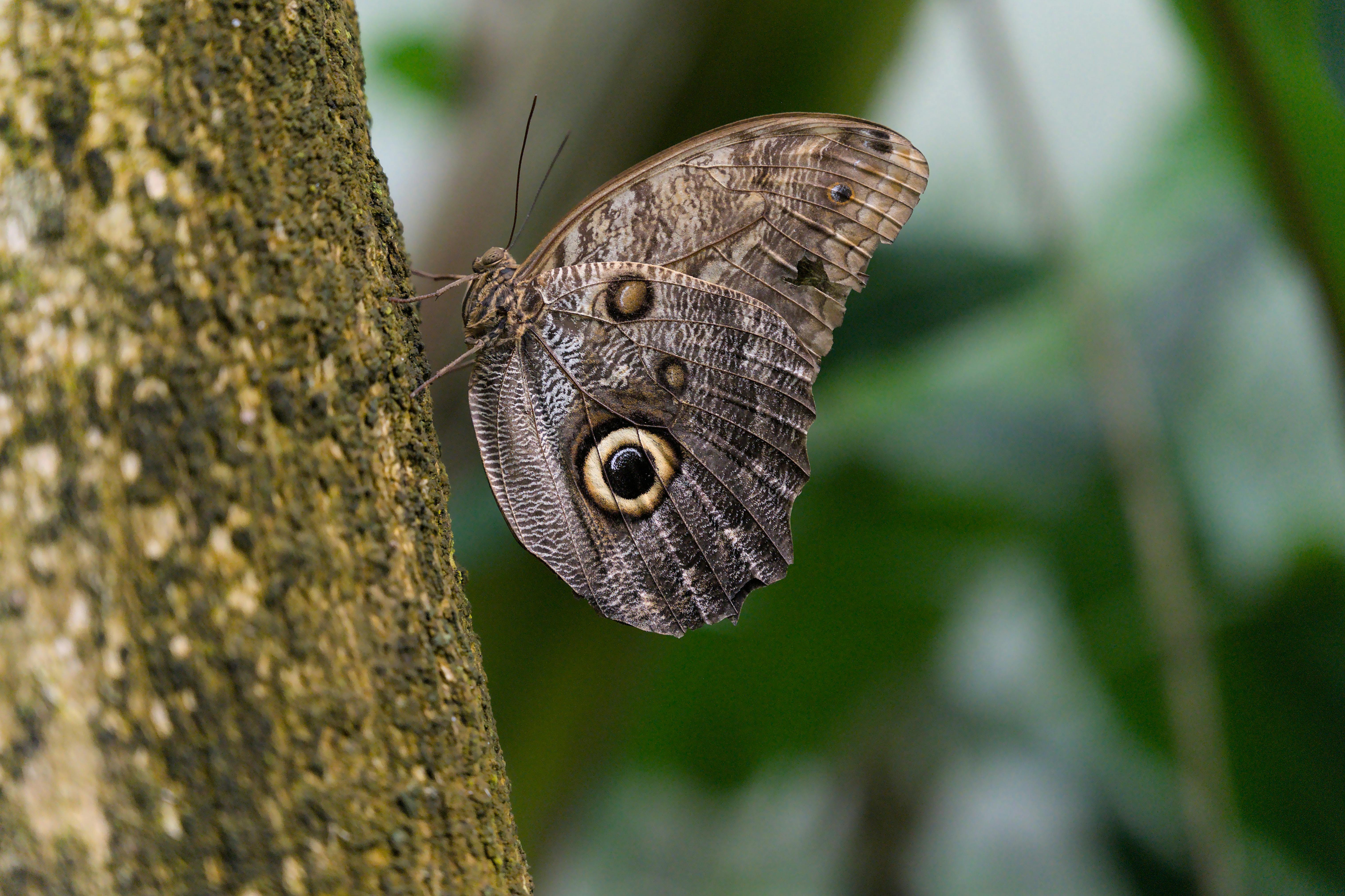Przedszkole Samorządowe 